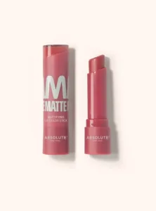 ABSOLUTE NEW YORK Matte Liquid Lipstick Garnet MLAM07 Maroc