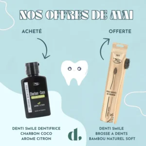 Denti smile Charbon Coco Poudre Dentifrice 15 g Arôme Citron